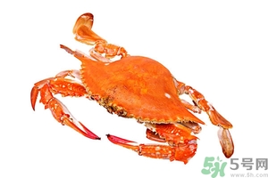 懷孕期間能吃螃蟹嗎？吃螃蟹會影響懷孕嗎？