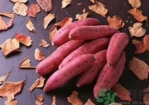 蘋(píng)果和紅薯可以一起吃嗎?蘋(píng)果和紅薯一起吃好嗎