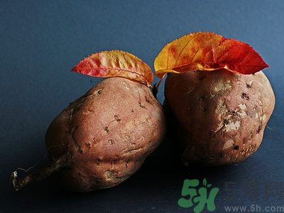 蘋(píng)果和紅薯可以一起吃嗎?蘋(píng)果和紅薯一起吃好嗎