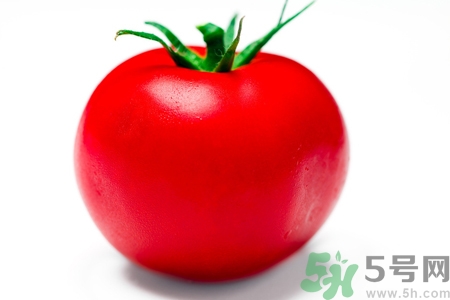 番茄和西紅柿有什么區(qū)別？番茄和西紅柿一樣嗎？
