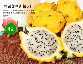 黃龍果多少錢一斤？黃龍果的功效作用