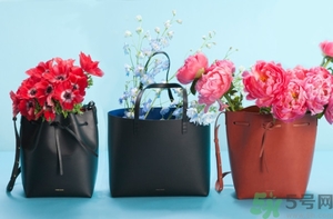 Mansur Gavriel水桶包價格多少錢？Mansur Gavriel水桶包尺寸大小