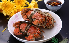 海蟹什么時候最肥？海蟹什么時候吃最好？