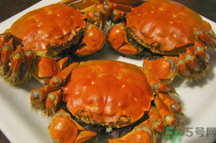 洪澤湖大閘蟹多少錢一斤？洪澤湖大閘蟹價格