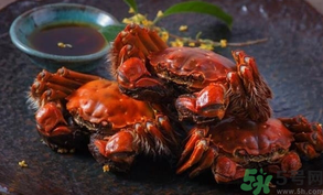 陽澄湖大閘蟹死了還能吃嗎？陽澄湖大閘蟹死了為什么不能吃？