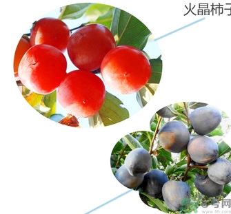 黑柿的營養(yǎng)價值及功效 黑柿怎么吃？