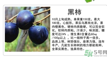 黑柿的營養(yǎng)價值及功效 黑柿怎么吃？