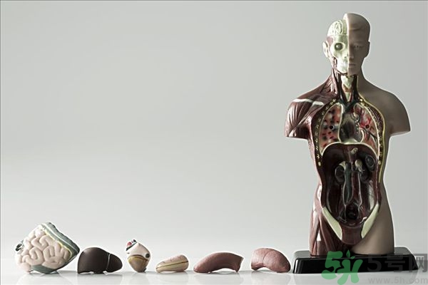 腸炎肚子疼怎么辦？腸炎肚子疼怎么緩解？