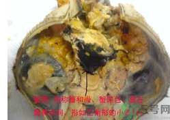梭子蟹哪些部位不能吃？梭子蟹哪些人不能吃？