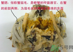 梭子蟹哪些部位不能吃？梭子蟹哪些人不能吃？