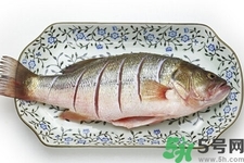 秋季適合吃什么魚？秋季吃魚的好處？