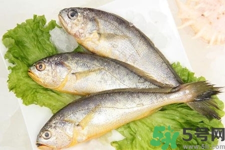 秋季適合吃什么魚？秋季吃魚的好處？
