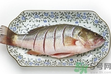 如何挑選新鮮魚？怎樣吃到不被污染的魚？