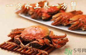 盤錦河蟹和陽澄湖大閘蟹的區(qū)別？盤錦河蟹和陽澄湖大閘蟹哪個比較好吃？