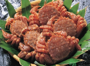 陽(yáng)澄湖大閘蟹和太湖大閘蟹的區(qū)別？陽(yáng)澄湖大閘蟹好還是太湖大閘蟹好？
