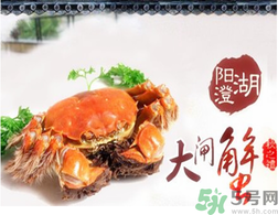陽澄湖大閘蟹為什么出名？陽澄湖大閘蟹出名的原因