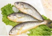 如何挑選新鮮魚？怎樣吃到不被污染的魚？