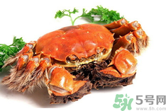 陽澄湖大閘蟹是河蟹嗎？陽澄湖大閘蟹和河蟹的區(qū)別