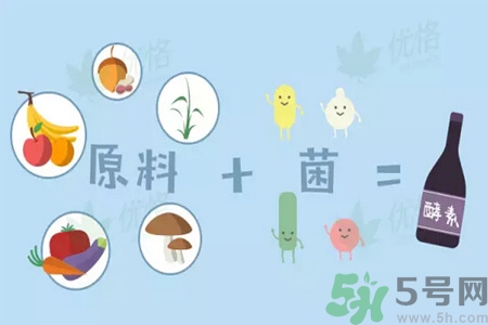 酵素是什么？吃酵素減肥有效果嗎？