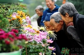 重陽節(jié)是陰歷還是陽歷？重陽節(jié)是什么意思？