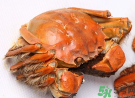 河蟹死了一天能吃嗎？河蟹死了多久不能吃？