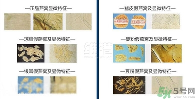 去香港買(mǎi)燕窩哪里好？香港哪里買(mǎi)燕窩比較好正宗？