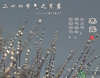 寒露是什么意思？寒露是幾月幾日