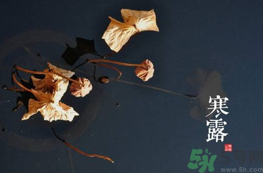 寒露是什么意思？寒露是幾月幾日