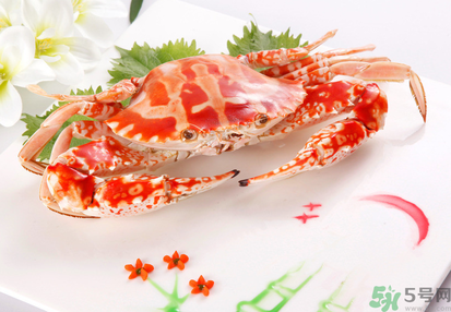 梭子蟹和花蟹的區(qū)別？梭子蟹和花蟹哪個(gè)好吃？