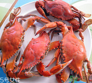 梭子蟹和飛蟹的區(qū)別？飛蟹是梭子蟹嗎？