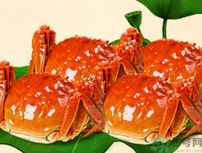 梭子蟹和大閘蟹的區(qū)別？梭子蟹和大閘蟹哪個(gè)好？