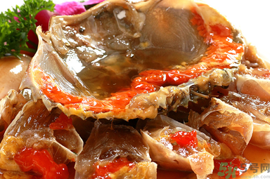 膏蟹是河蟹還是海蟹？膏蟹是什么蟹？