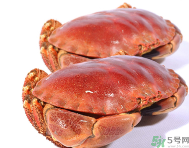 面包蟹多少錢一斤？面包蟹多少錢一只？
