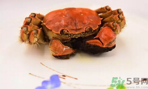 珍寶蟹和面包蟹的區(qū)別？珍寶蟹和面包蟹哪個好吃？