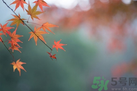 秋燥皮膚癢吃什么好？秋燥4妙招保護(hù)皮膚