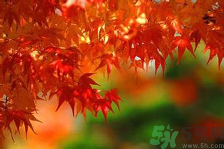 秋燥皮膚癢吃什么好？秋燥4妙招保護(hù)皮膚