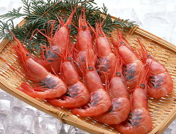 海蝦煮多長時間熟？海蝦怎么煮？