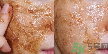 skin food思親膚適合什么年齡？思親膚適合多大年齡？