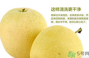 皇冠梨是雪梨嗎？皇冠梨和雪梨的區(qū)別
