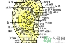 每天揉耳朵有什么好處？?揉耳朵的正確方法是什么？