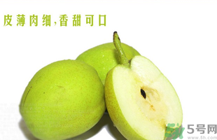 孕婦能吃香梨嗎？香梨孕婦可以吃嗎？