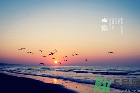 白露節(jié)吃什么？白露節(jié)的傳統(tǒng)美食有哪些？