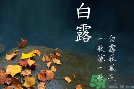 白露節(jié)吃什么？白露節(jié)的傳統(tǒng)美食有哪些？