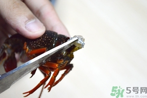 活蝦怎么處理干凈蝦線？活蝦怎么去蝦線？