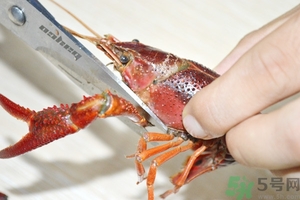 活蝦怎么處理干凈蝦線？活蝦怎么去蝦線？