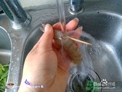 活蝦怎么處理干凈蝦線？活蝦怎么去蝦線？