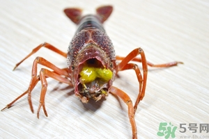 活蝦怎么處理干凈蝦線？活蝦怎么去蝦線？