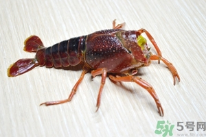 活蝦怎么處理干凈蝦線？活蝦怎么去蝦線？
