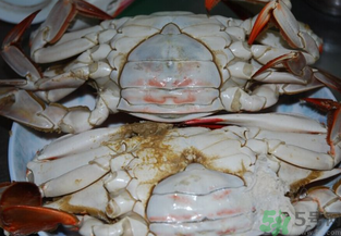 海蟹蒸多長時間？海蟹蒸多長時間最好吃？