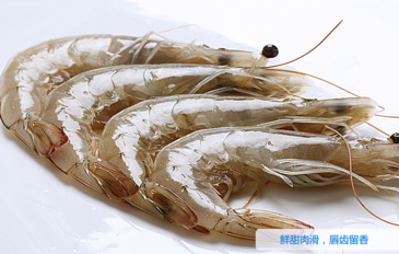 海蝦怎么保存？活海蝦怎么保存？